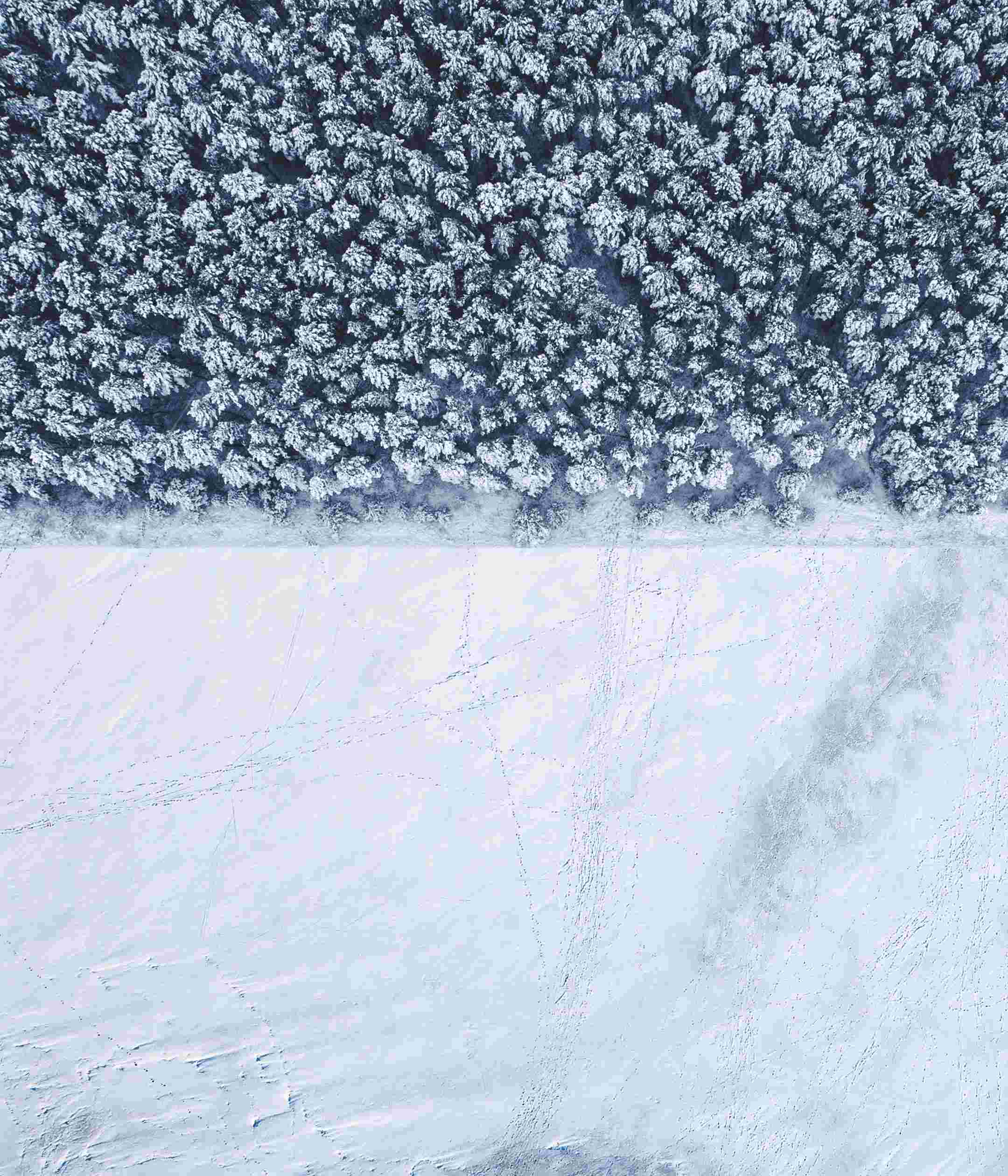 Sony Xperia 10 II High Resolution Official Wallpapers