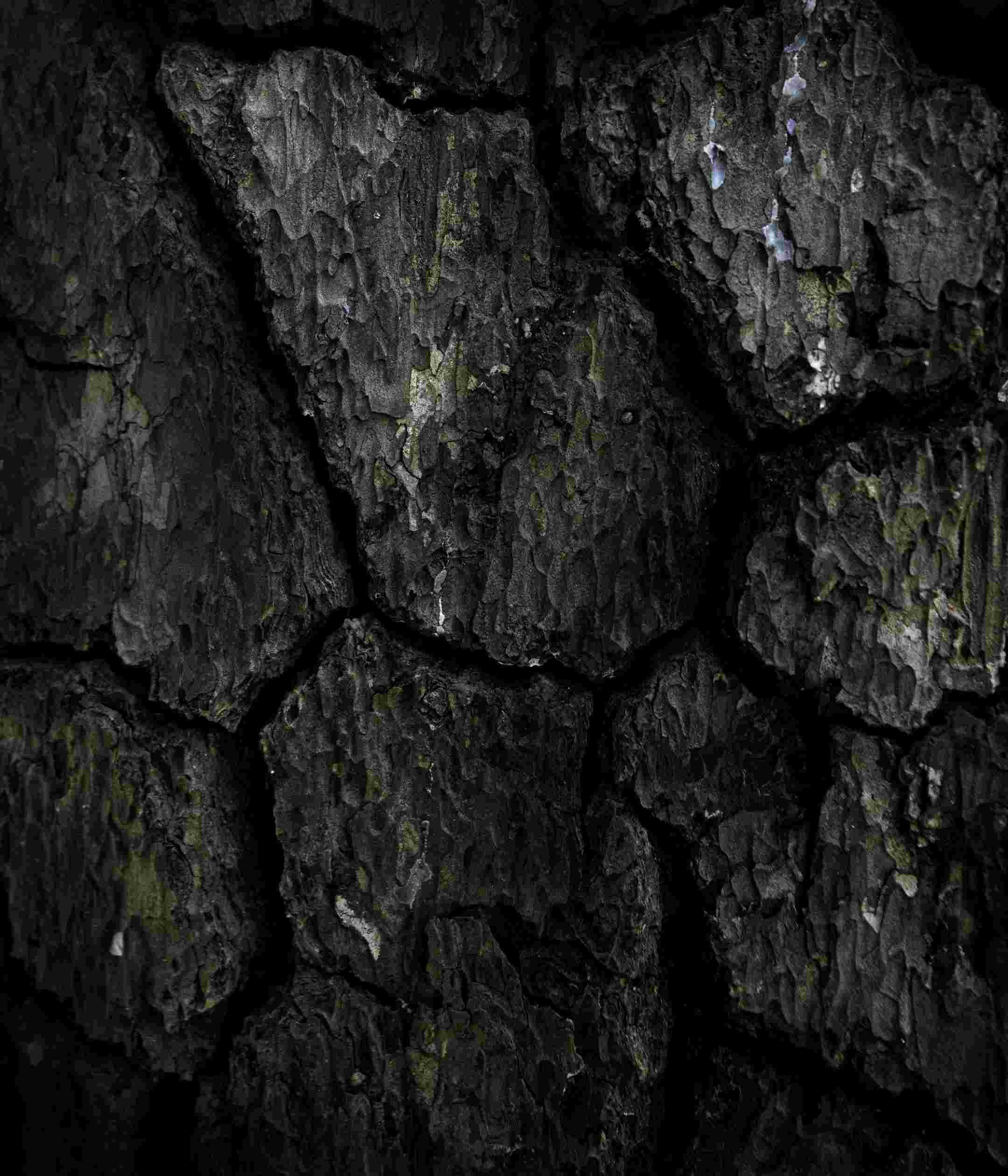 Sony Xperia 10 II High Resolution Official Wallpapers
