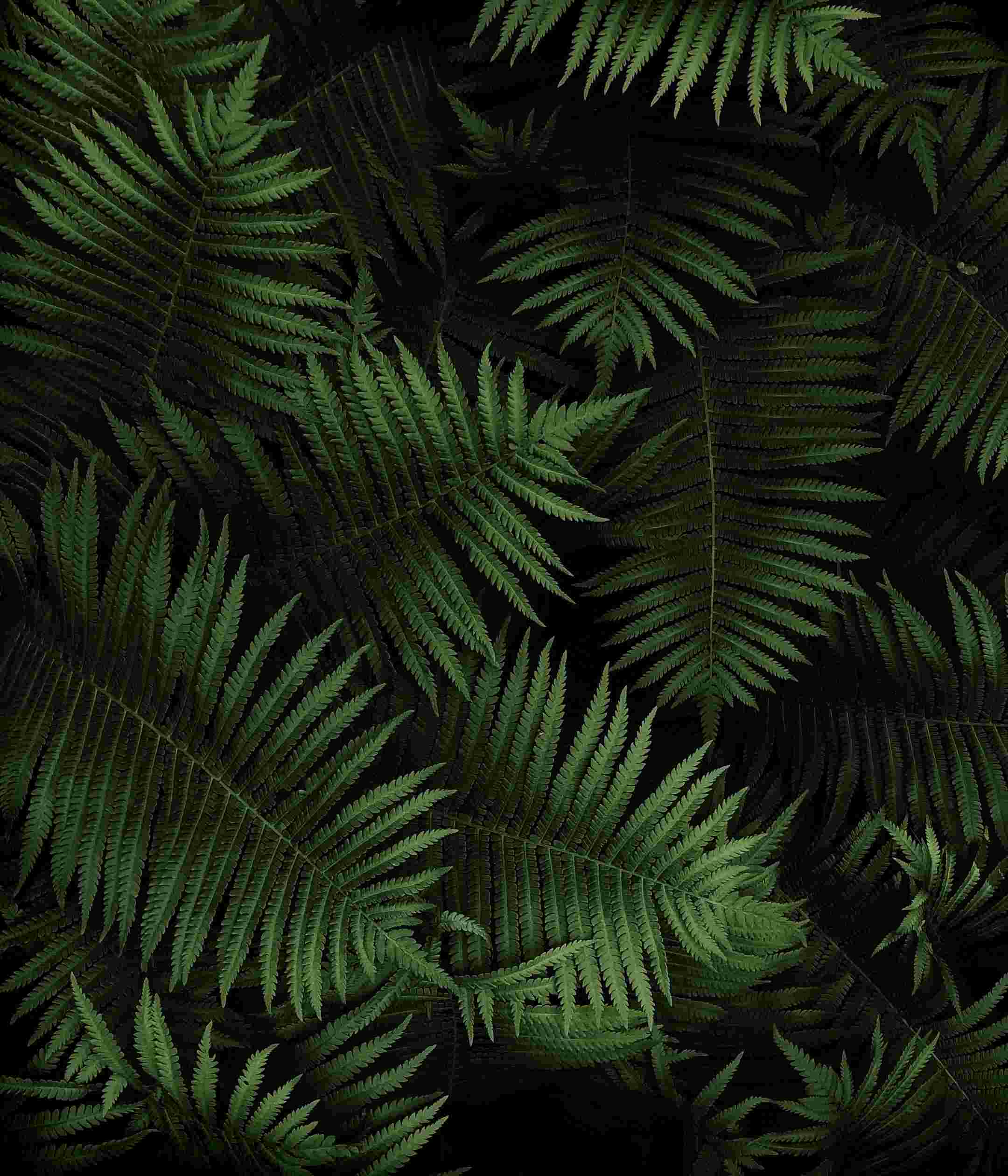 Sony Xperia 10 II High Resolution Official Wallpapers