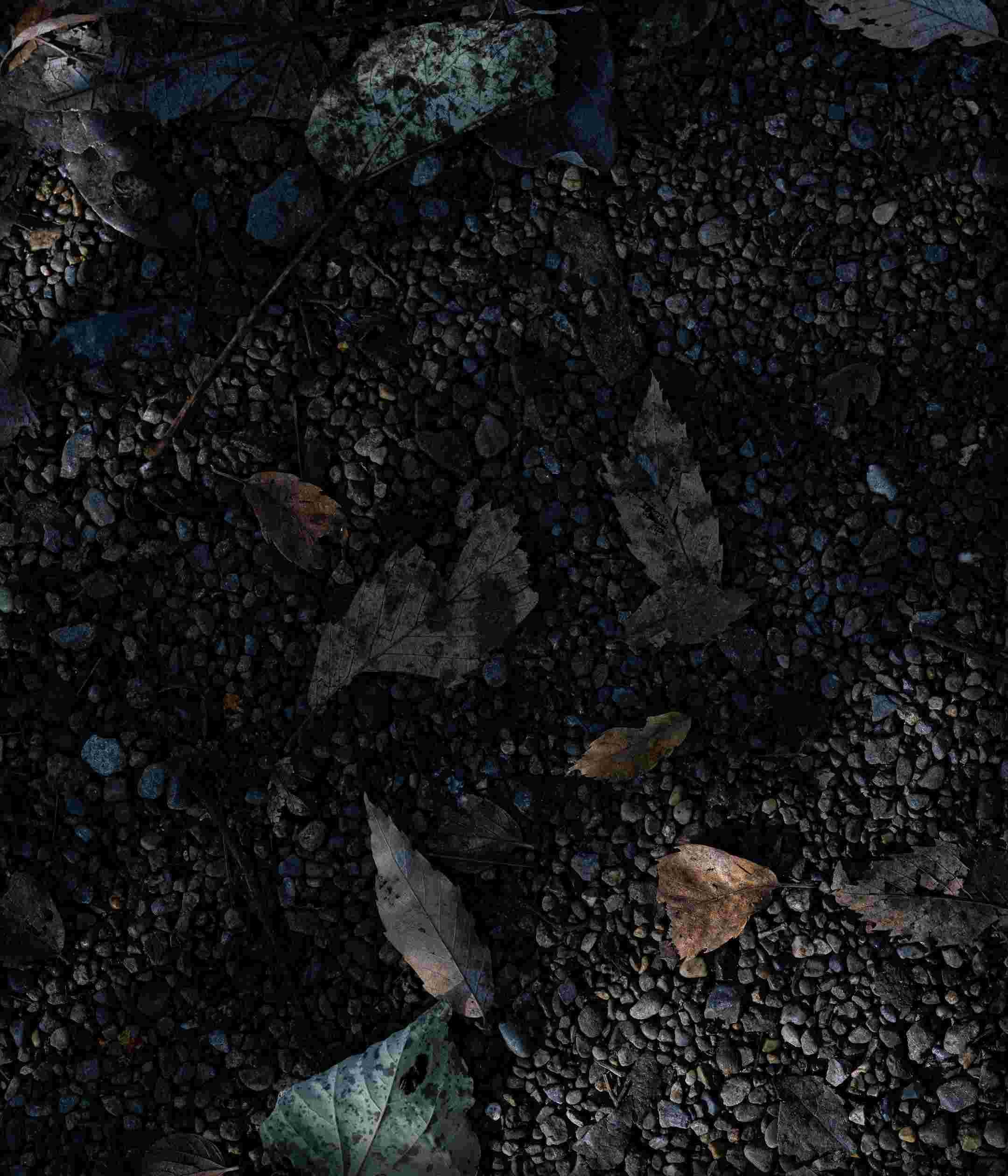 Sony Xperia 10 II High Resolution Official Wallpapers