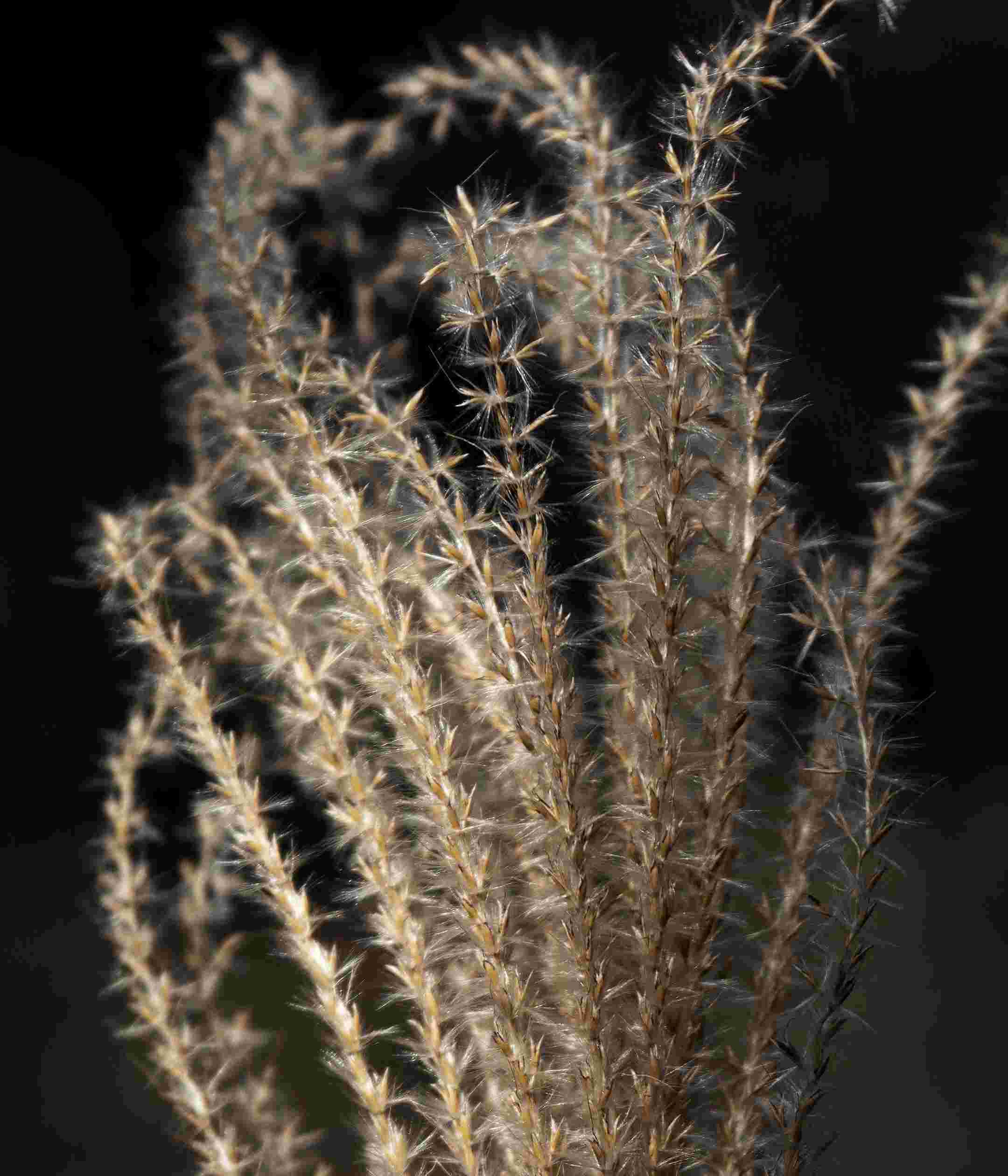 Sony Xperia 10 II High Resolution Official Wallpapers