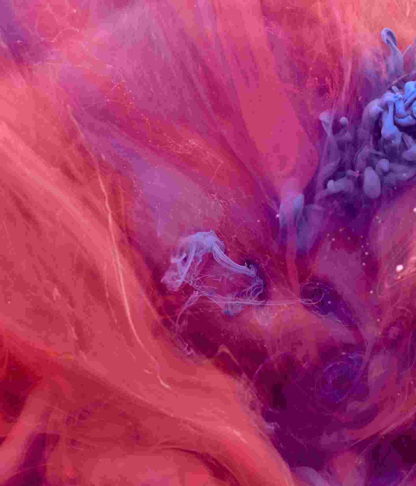 Sony Xperia L4 High Resolution Official Wallpapers