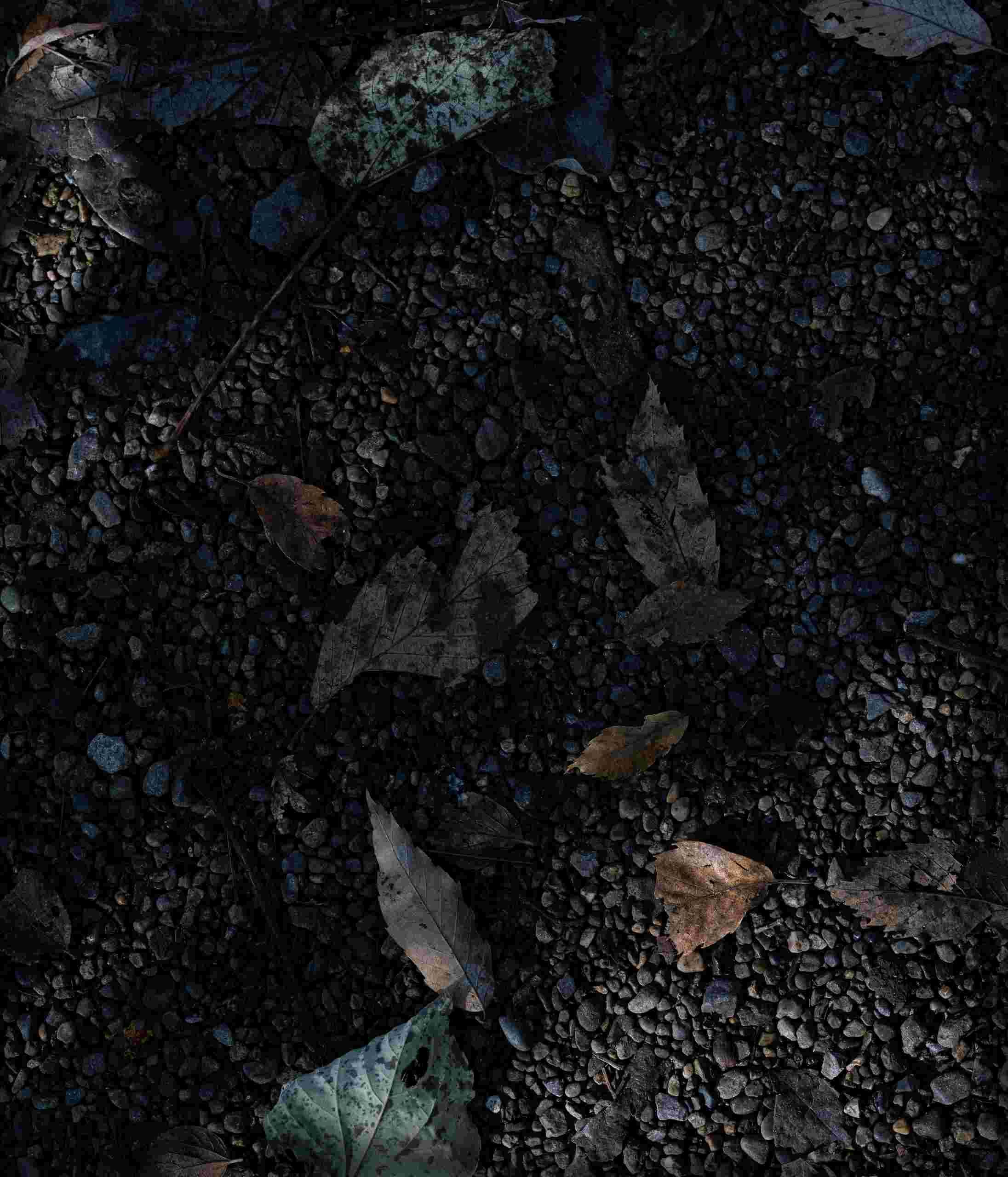 Sony Xperia 1 II High Resolution Official Wallpapers