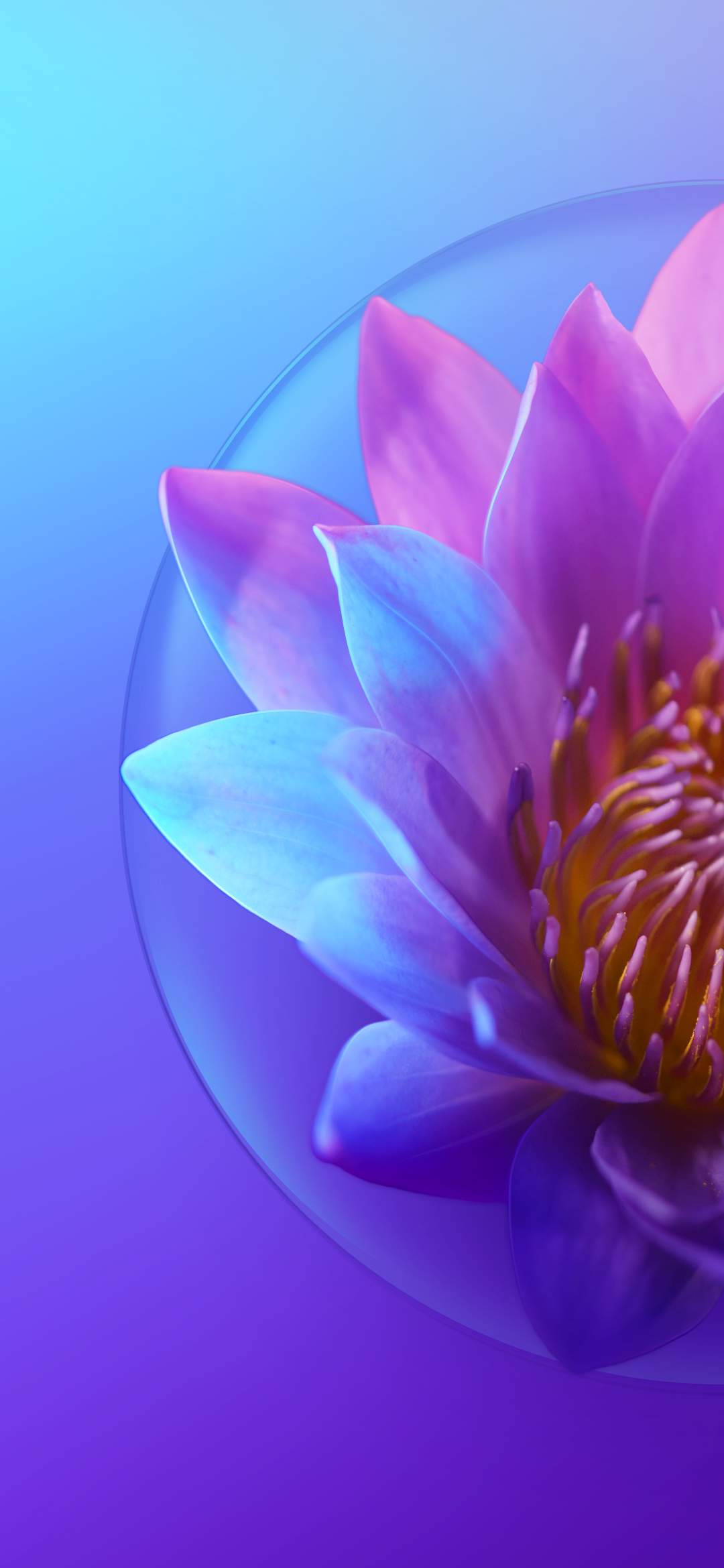 Tecno Camon 15 Pro High Resolution Official Wallpapers