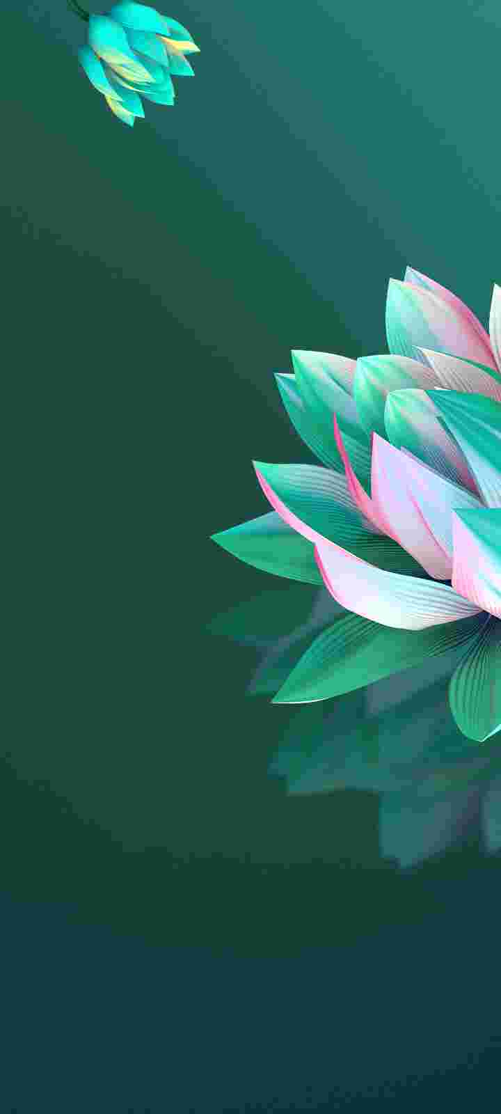 Tecno Camon 15 High Resolution Official Wallpapers