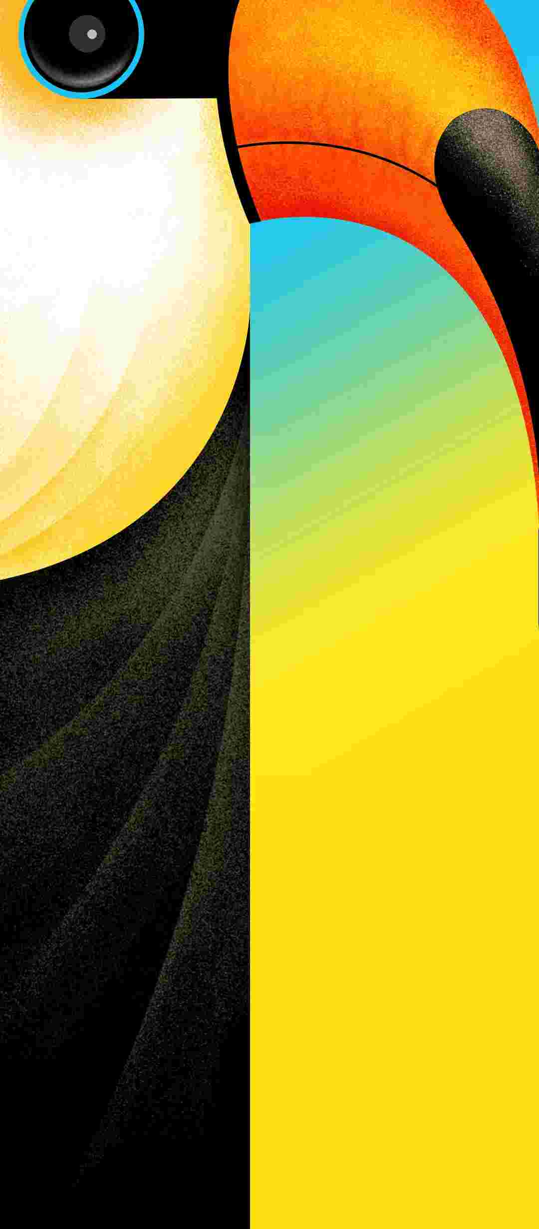 Tecno Camon 16 High Resolution Official Wallpapers