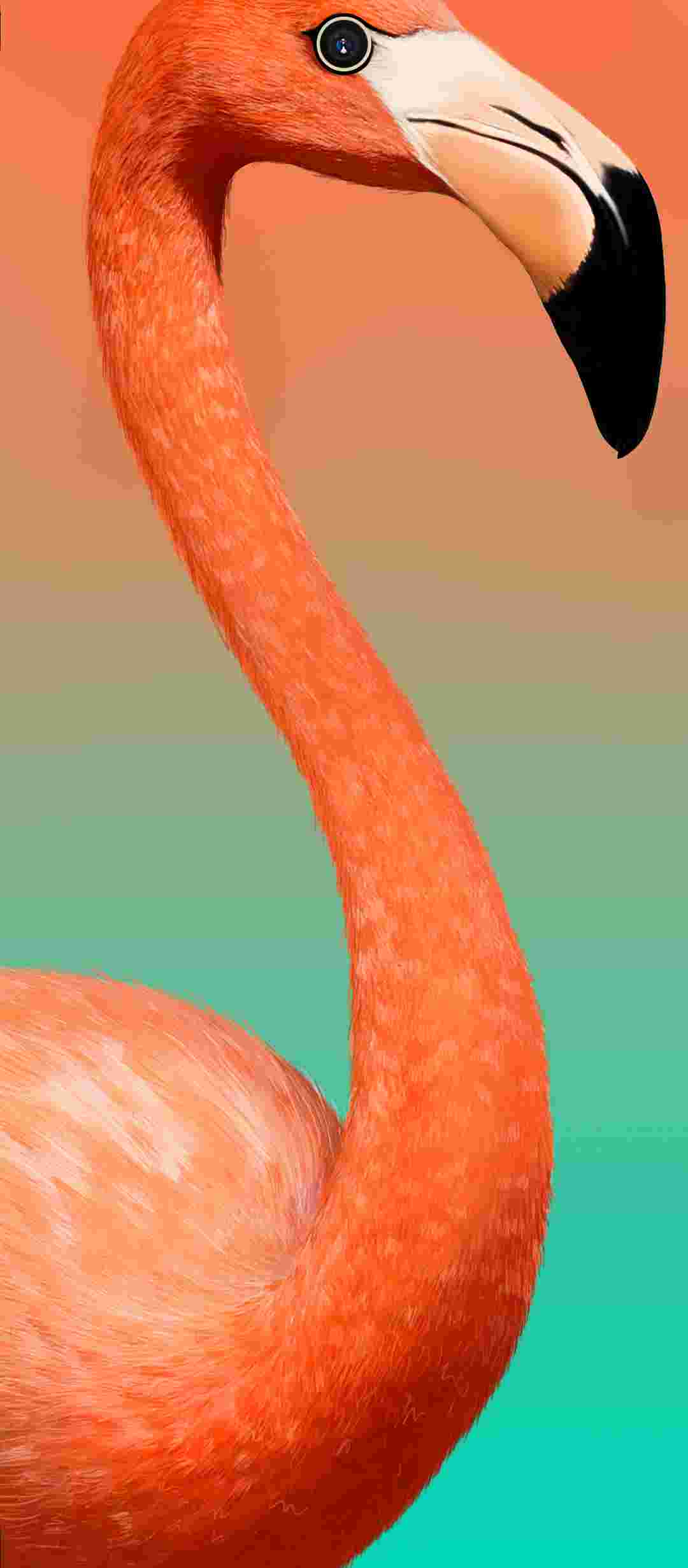  Tecno Camon 17 Pro High Resolution Official Wallpapers