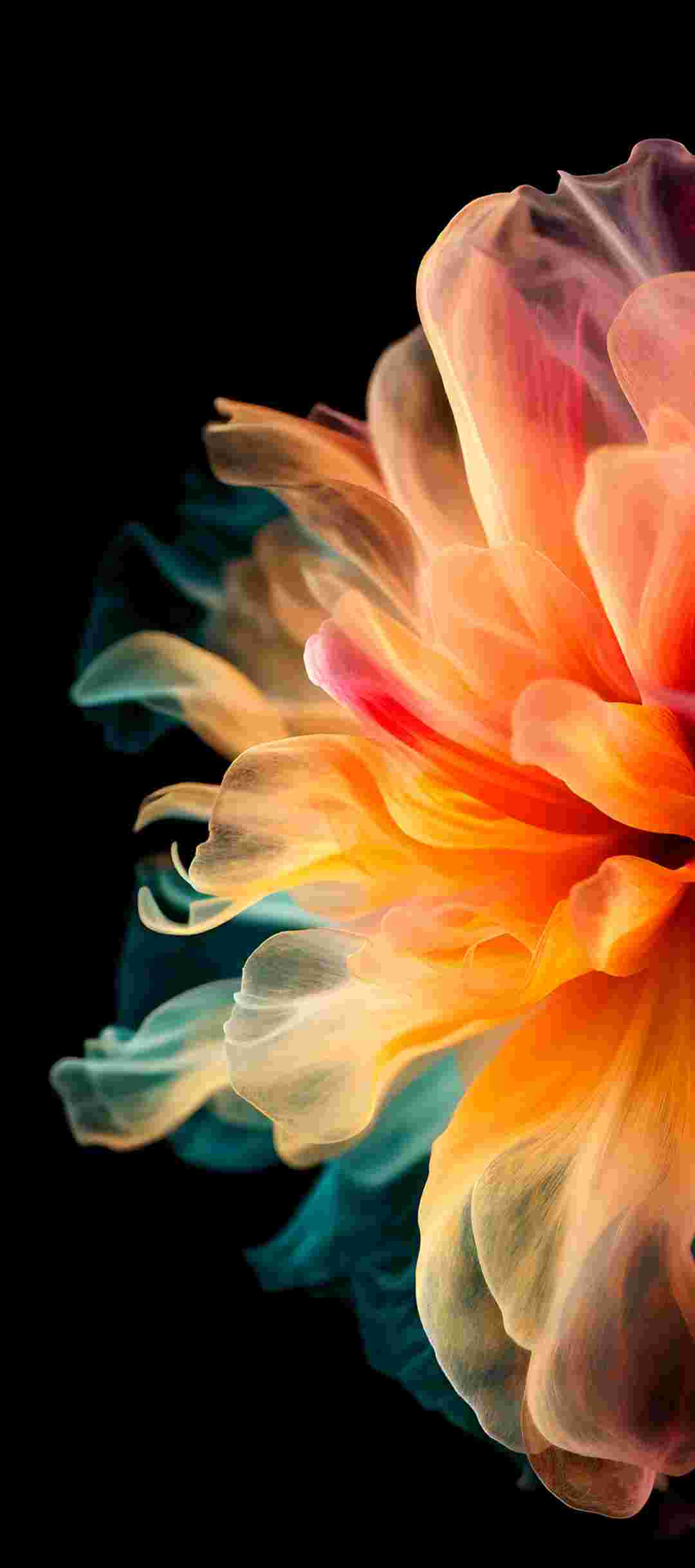 Tecno Camon 40 Pro High Resolution Official Wallpapers