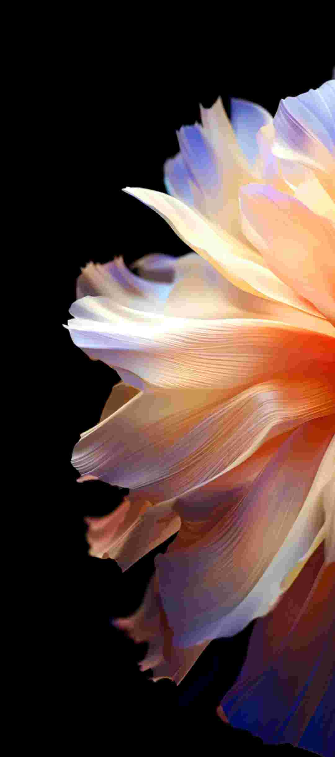 Tecno Camon 40 Pro High Resolution Official Wallpapers