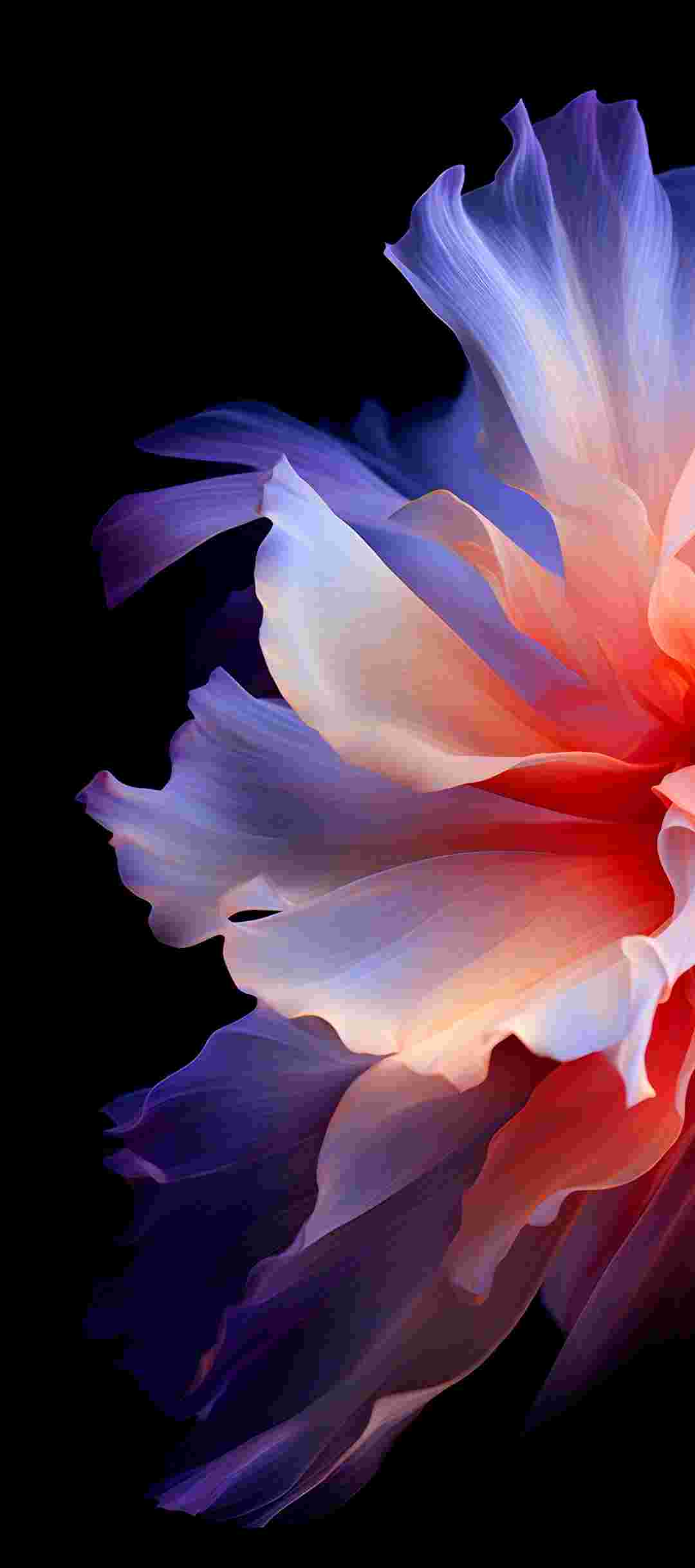 Tecno Camon 40 Pro High Resolution Official Wallpapers