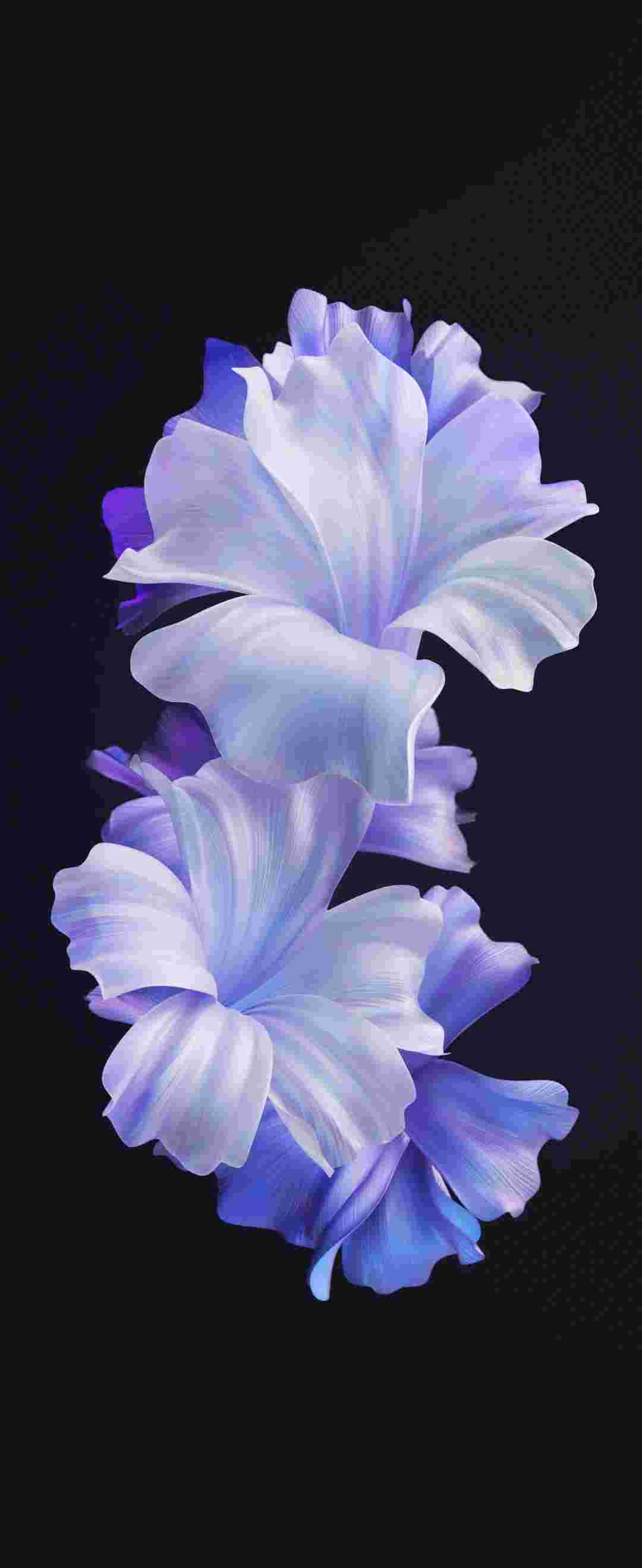 Tecno Phantom V Flip High Resolution Official Wallpapers