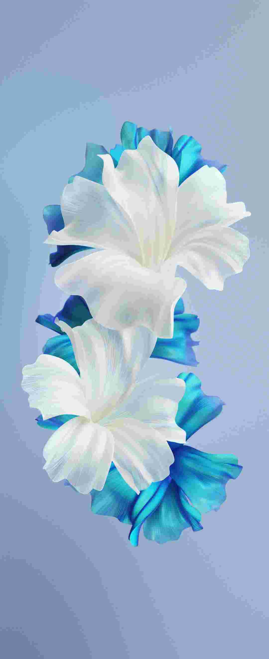 Tecno Phantom V Flip High Resolution Official Wallpapers