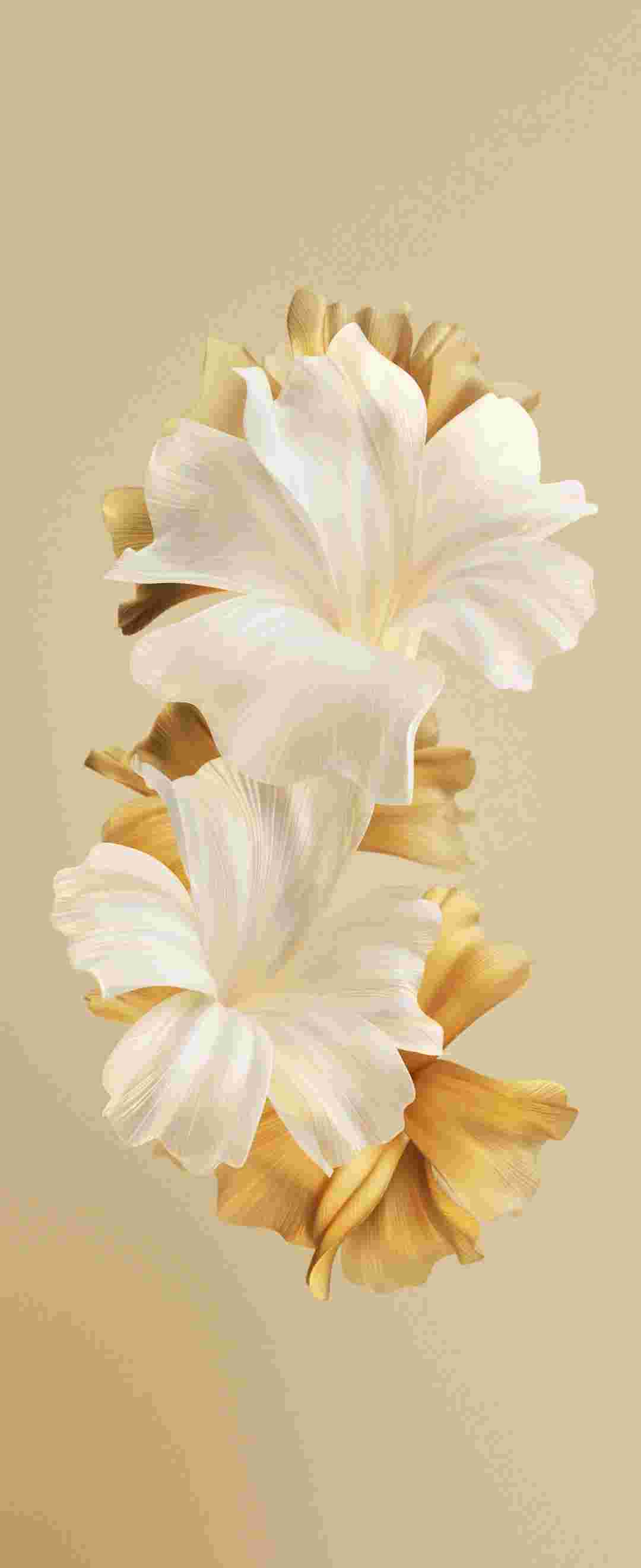 Tecno Phantom V Flip High Resolution Official Wallpapers