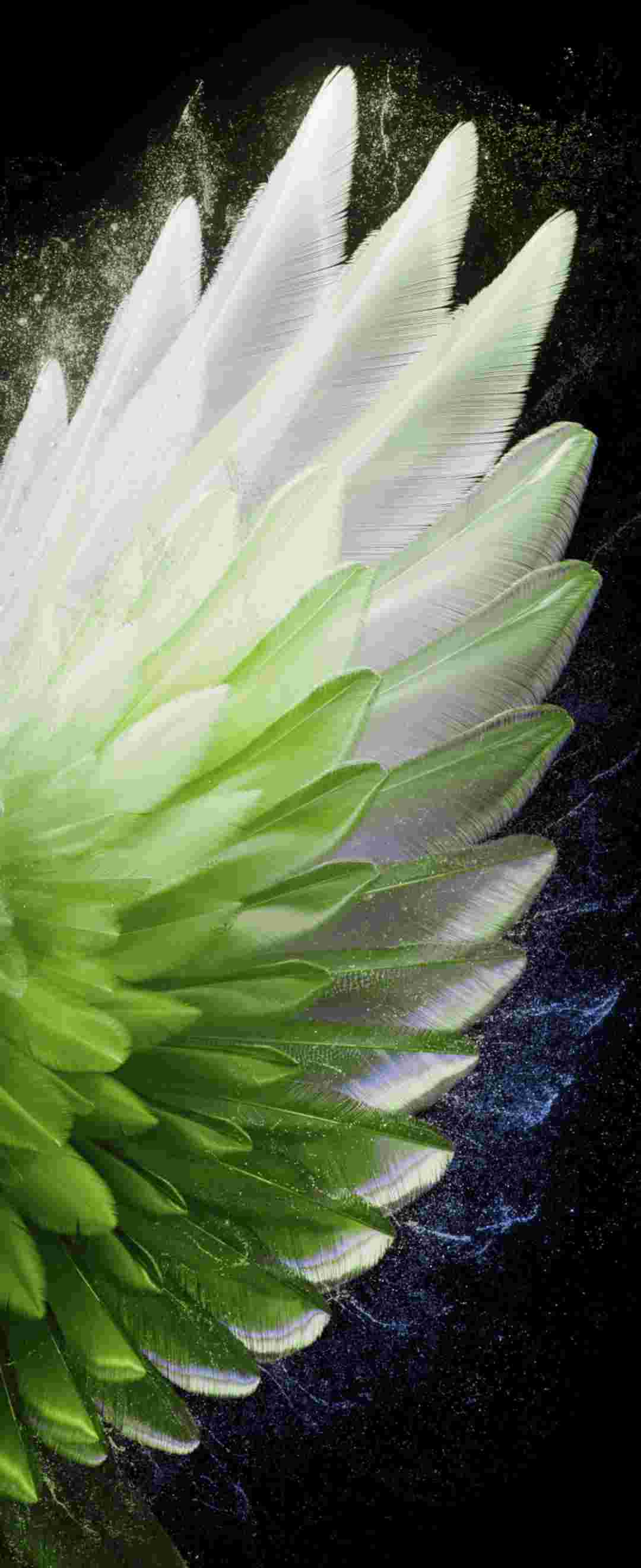 Tecno Phantom V Fold 2 High Resolution Official Wallpapers