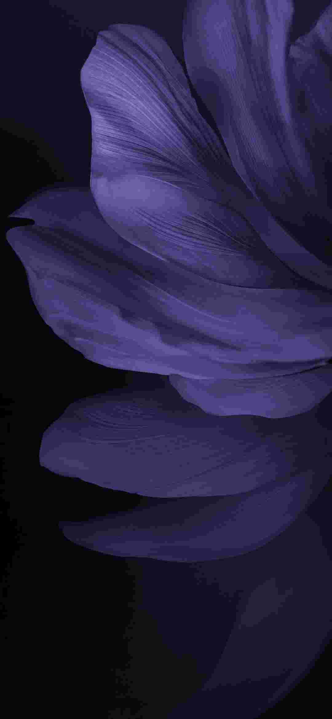 Vivo V17 High Resolution Official Wallpapers