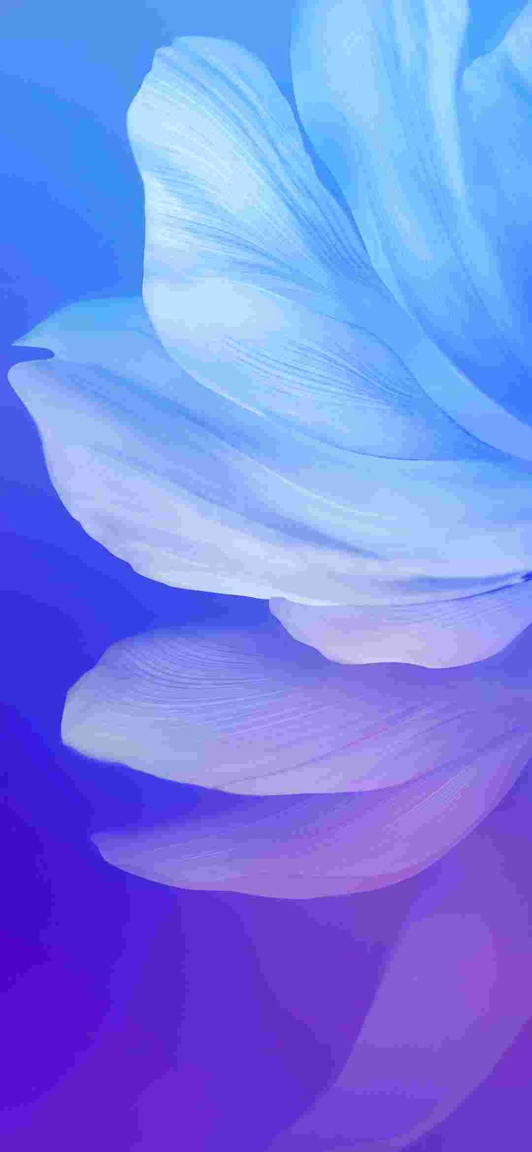 Vivo V17 High Resolution Official Wallpapers