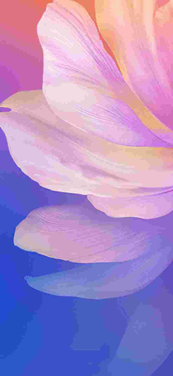 Vivo V17 High Resolution Official Wallpapers