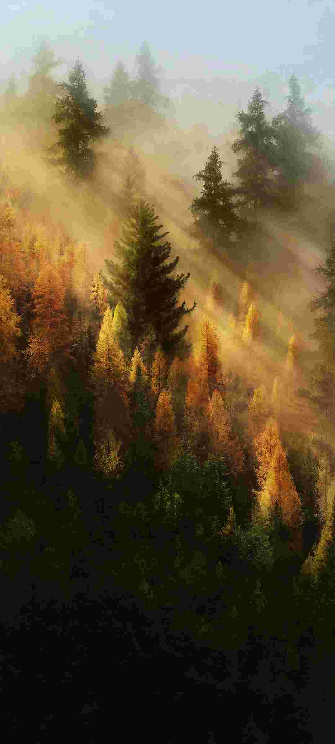 Vivo X200 Pro High Resolution Official Wallpapers