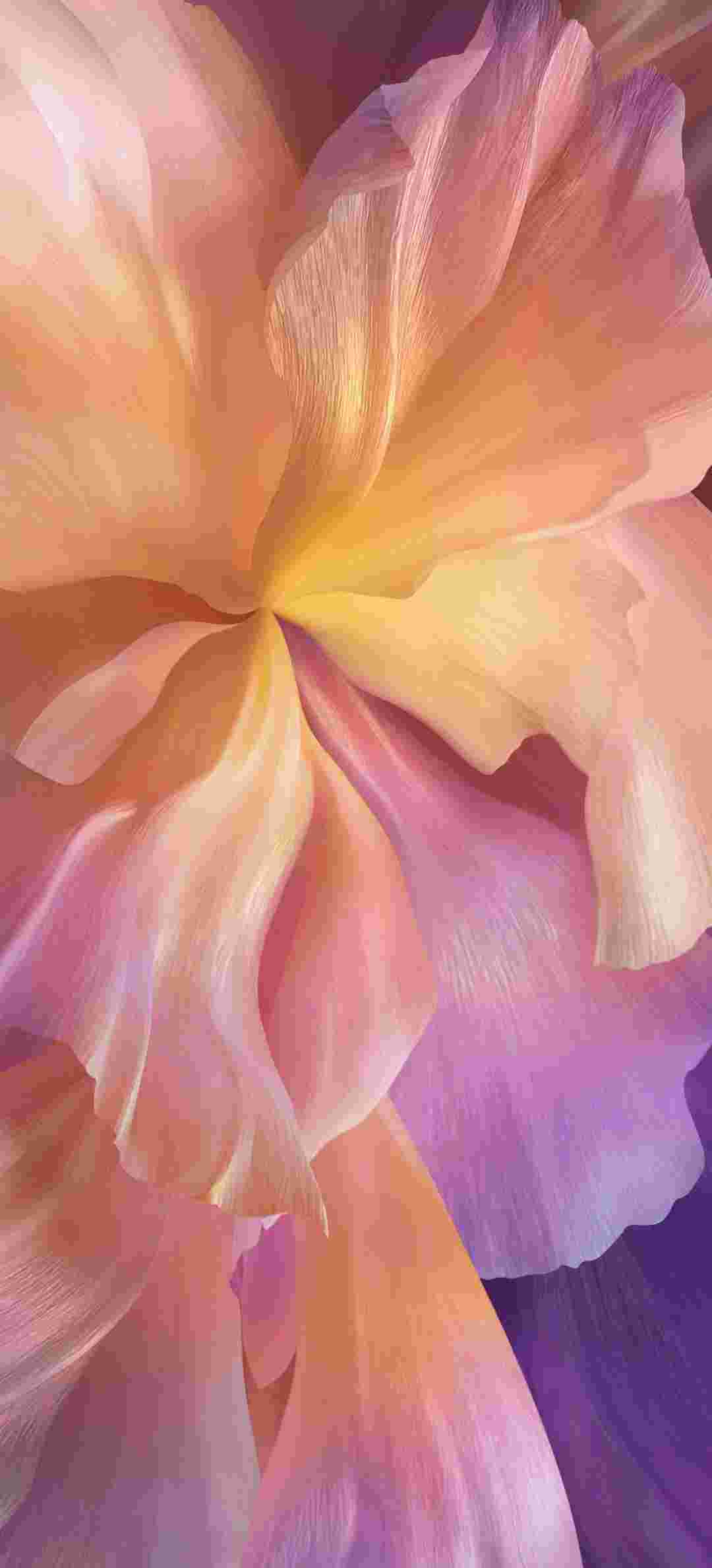 Vivo X60 Pro High Resolution Official Wallpapers