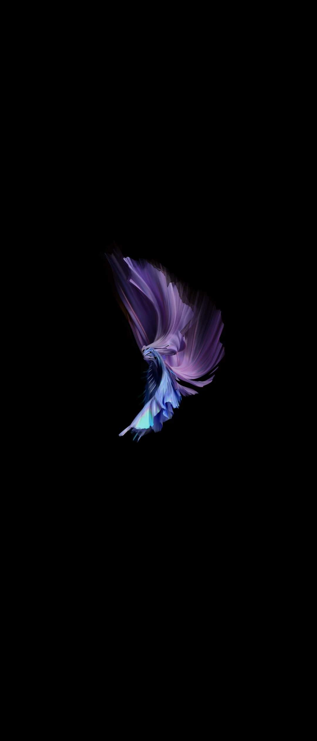 Vivo X Flip High Resolution Official Wallpapers