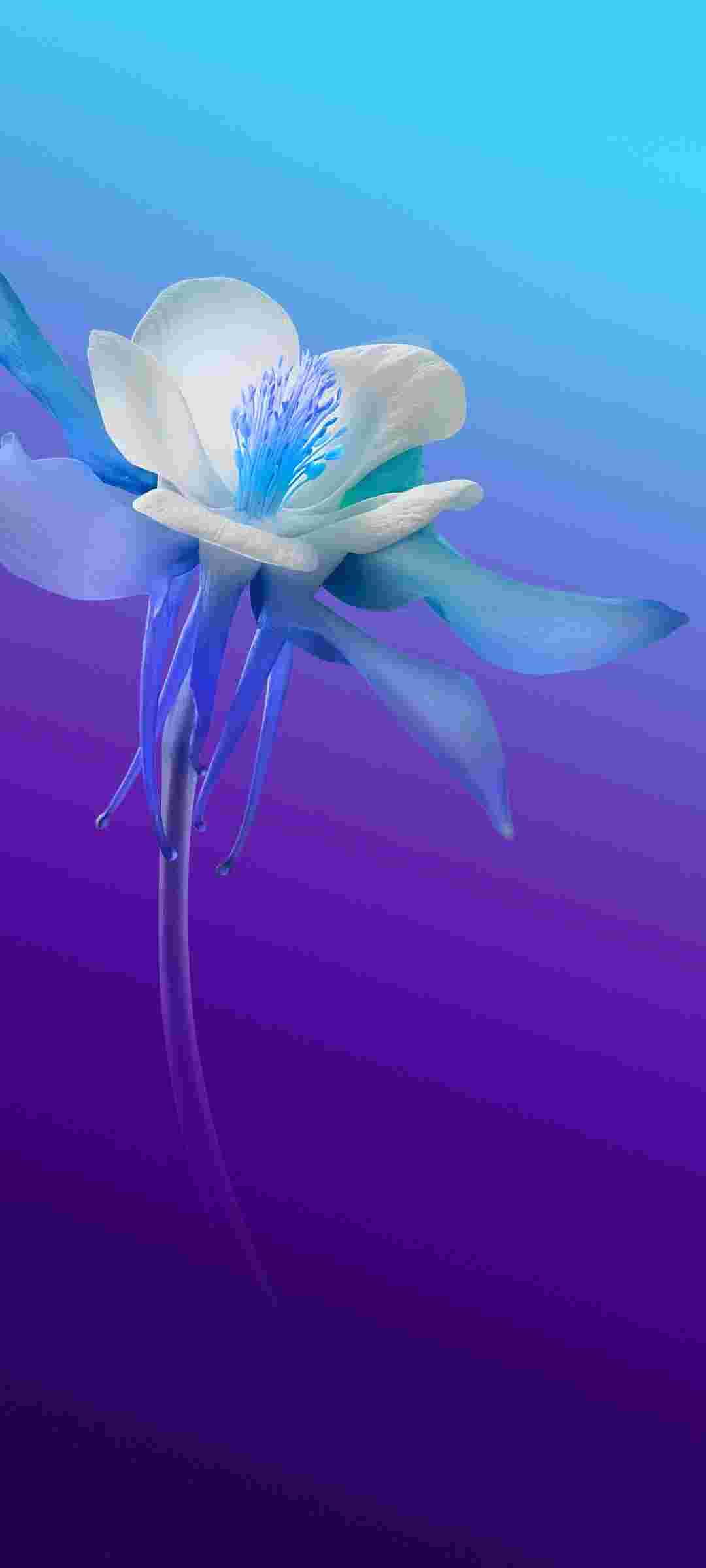 Vivo Z6 5G High Resolution Official Wallpapers