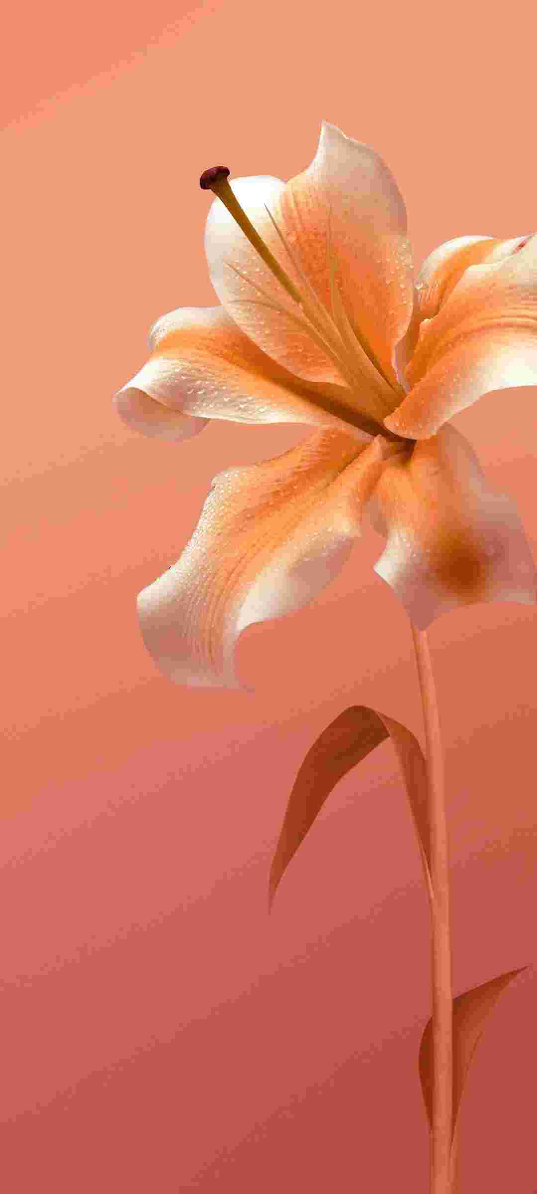 Vivo Z6 5G High Resolution Official Wallpapers