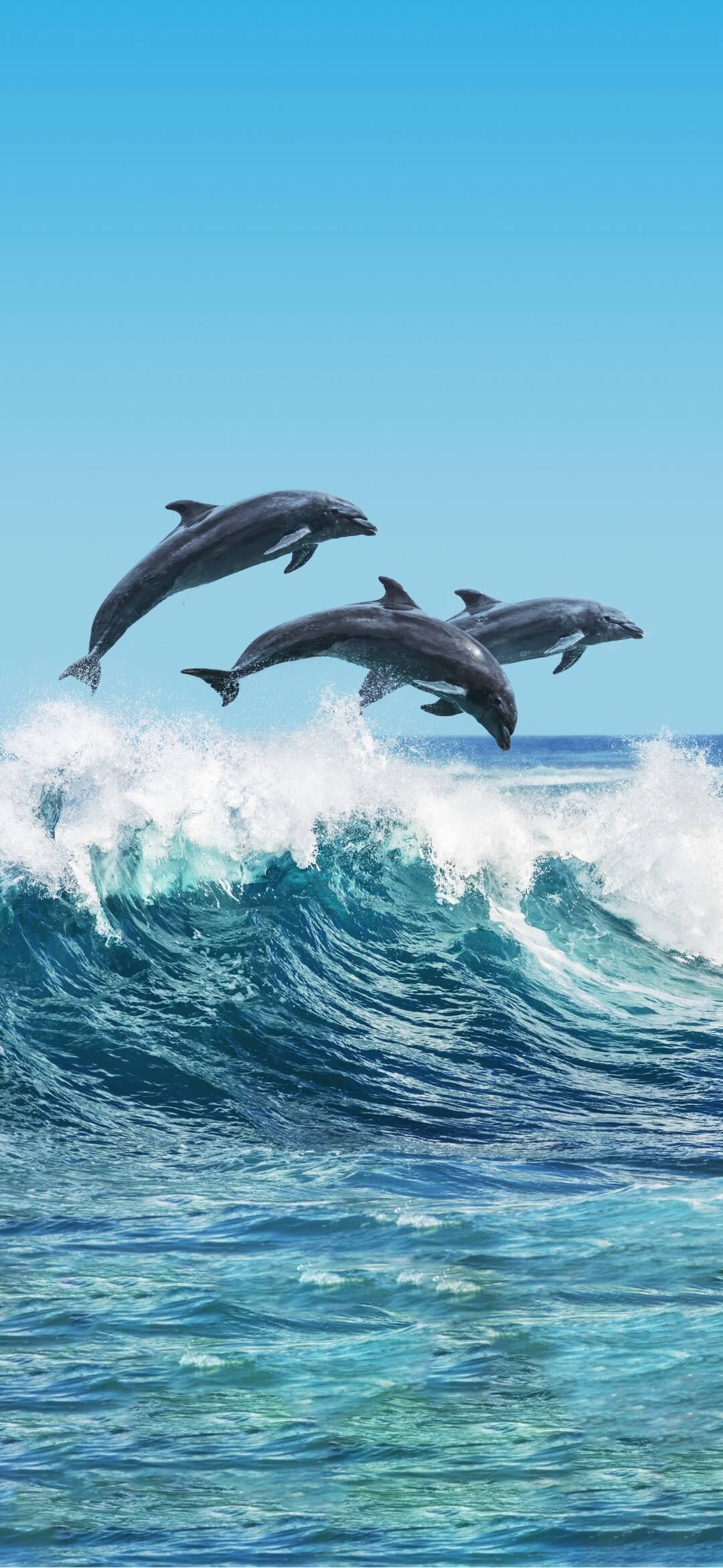  Vivo X200 FE Official stock Wallpapers in 4k resolution