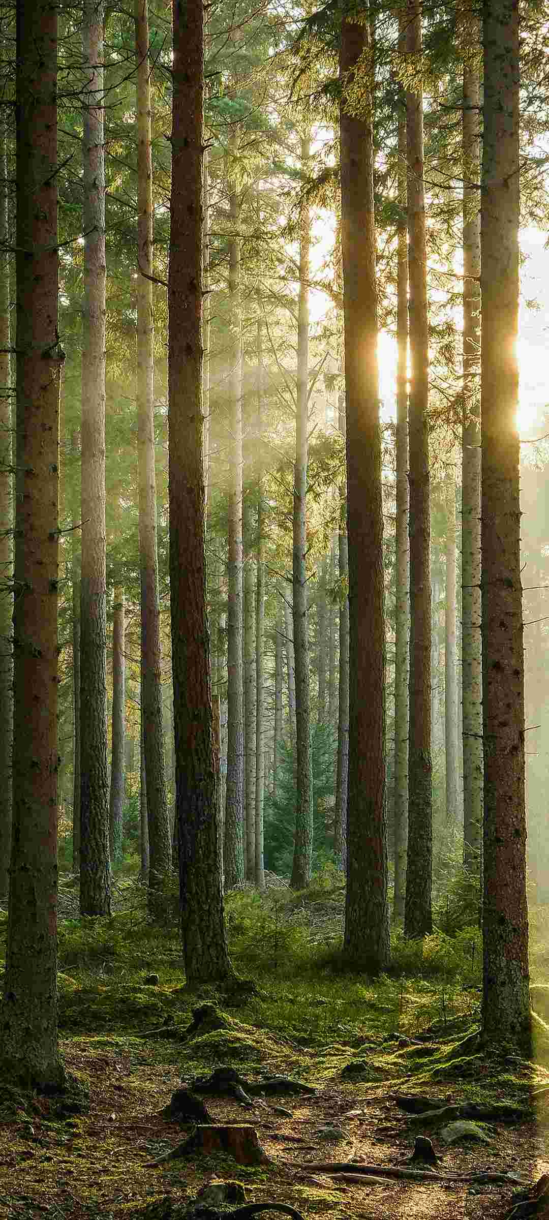 HyperOS 2.0 High Resolution Offical Wallpapers