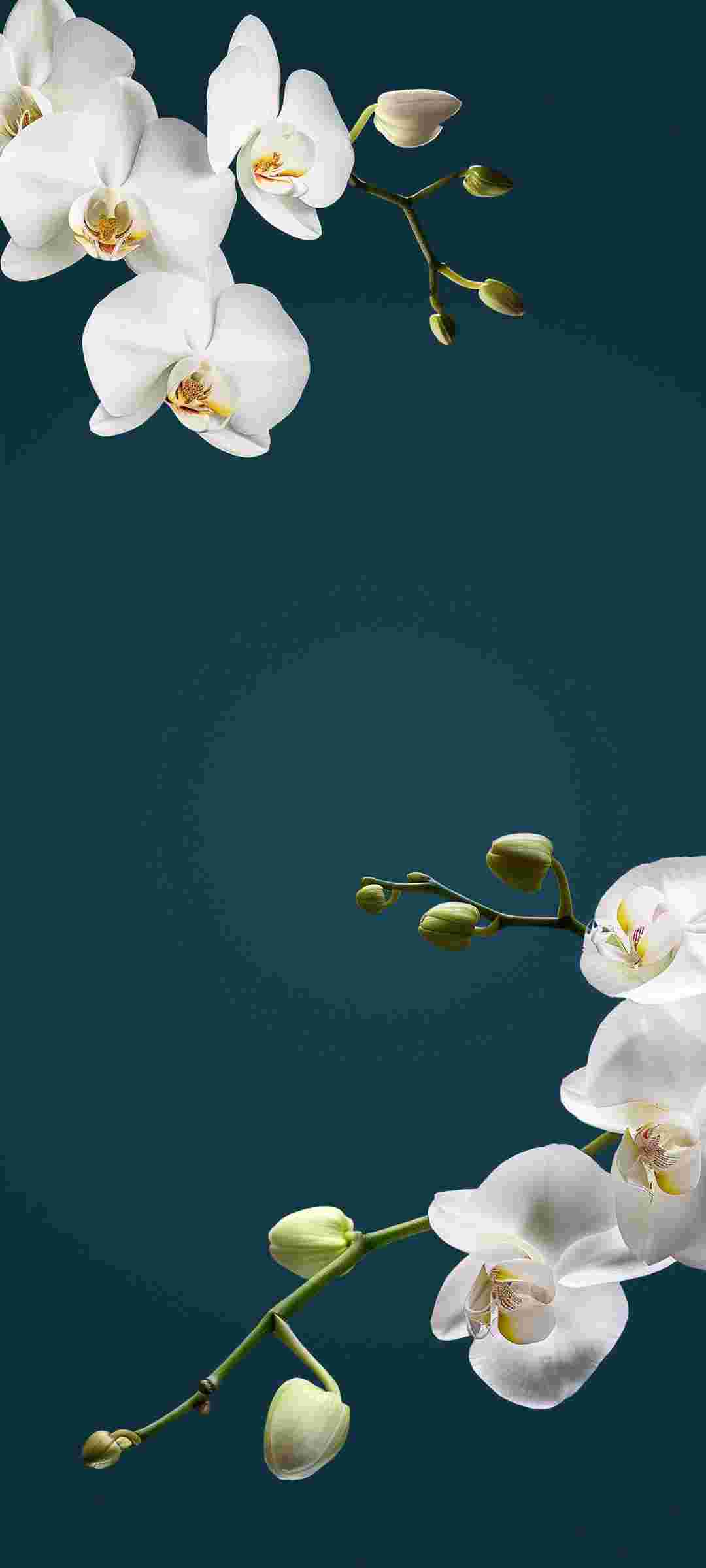 HyperOS 2.0 High Resolution Offical Wallpapers