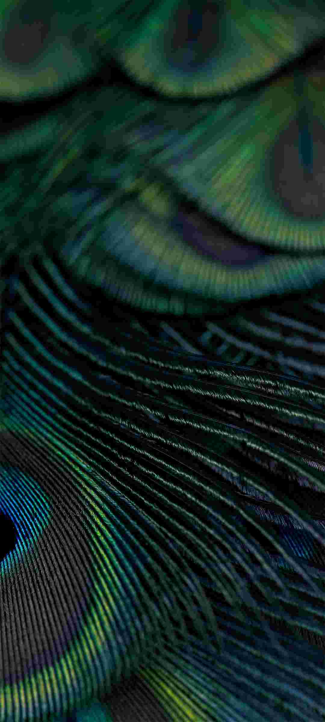 HyperOS 2.0 High Resolution Offical Wallpapers