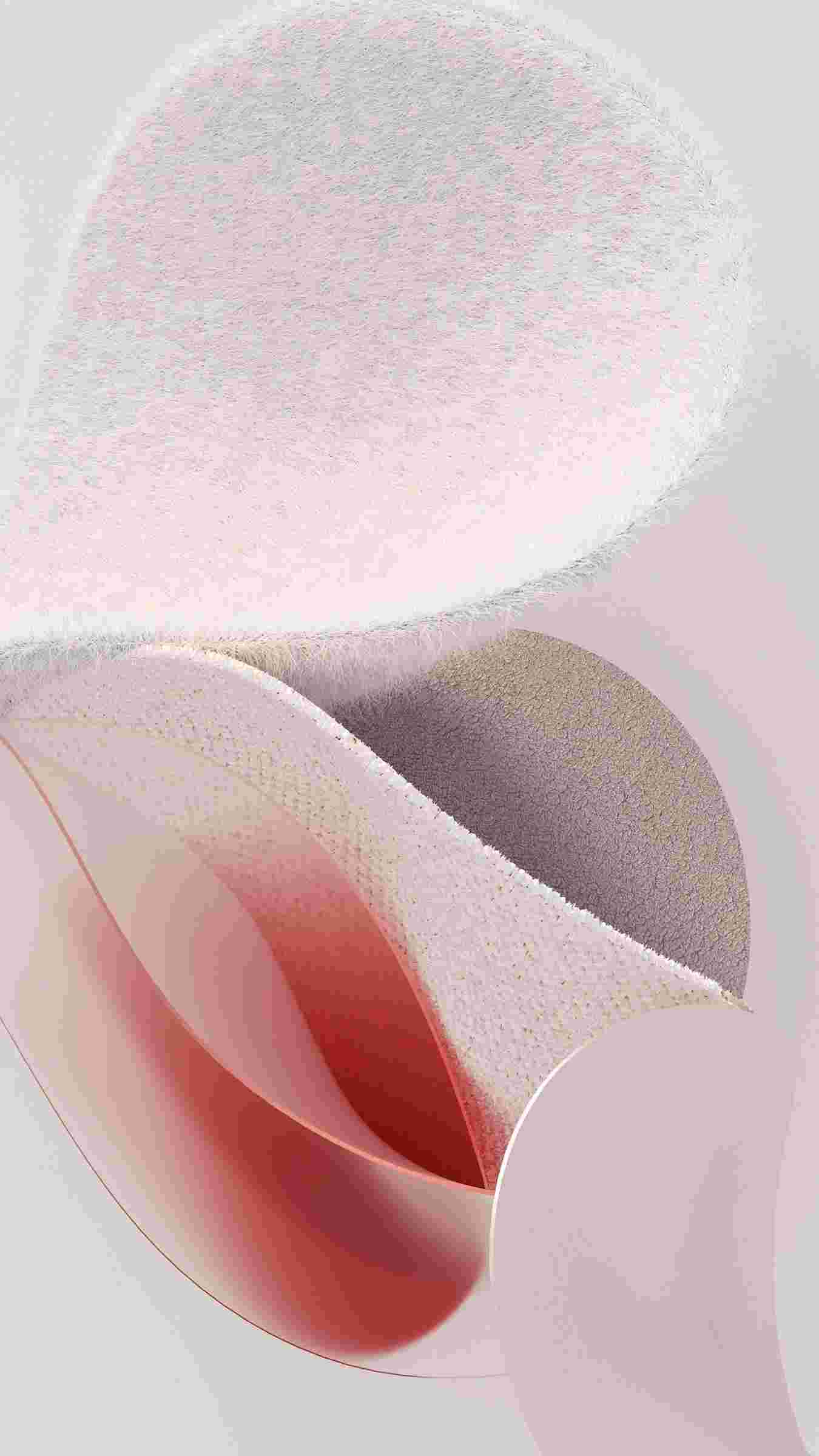 HyperOS High Resolution Offical Wallpapers