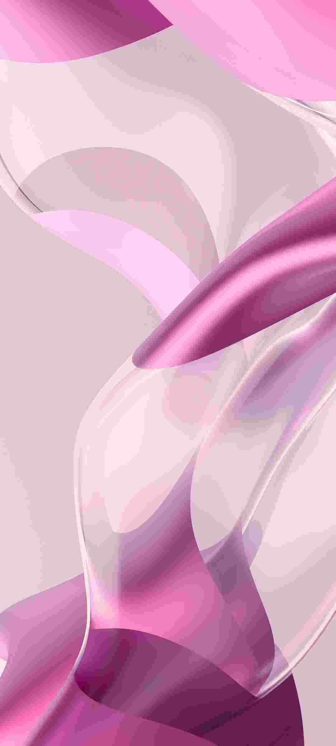  Mi 11 Lite 5G NE High Resolution Official Wallpapers