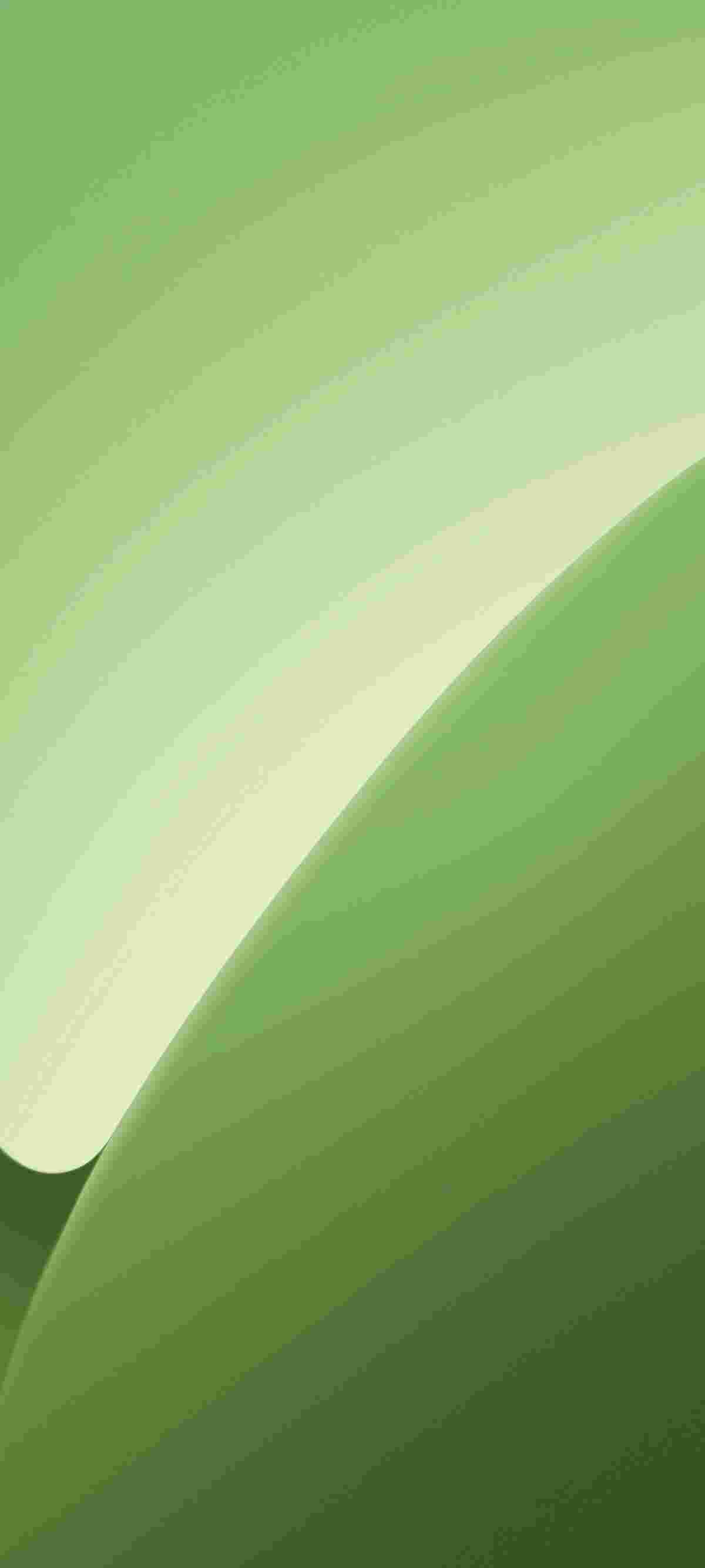Xiaomi 15 Pro High Resolution Official Wallpapers