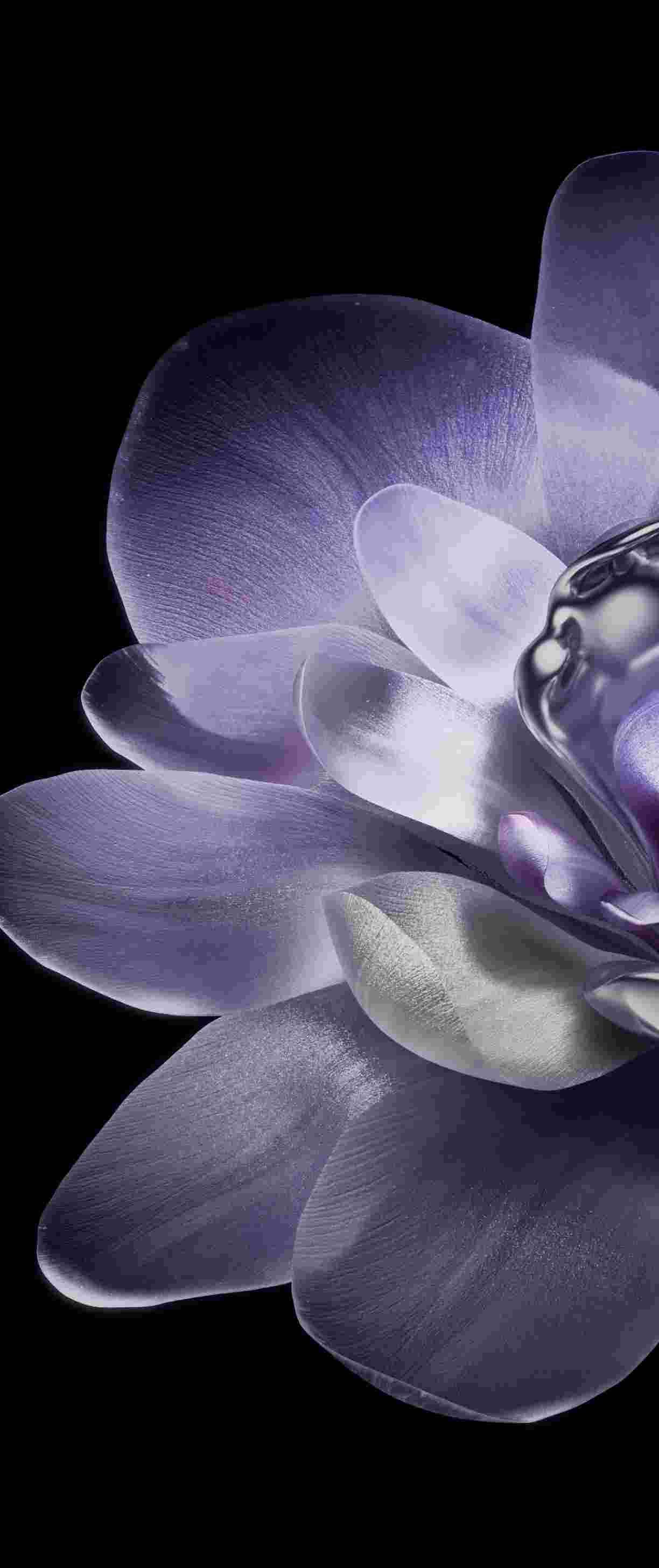 Xiaomi Mix Flip High Resolution Official Wallpapers