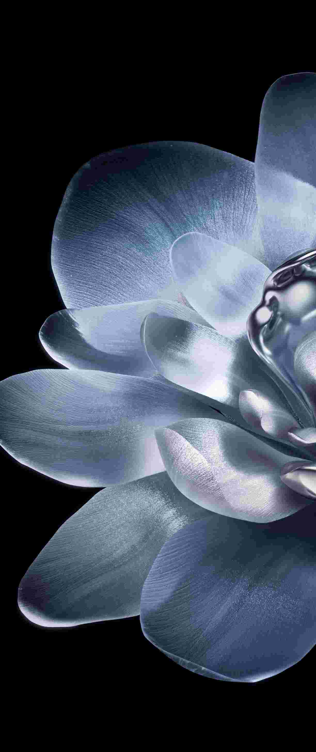 Xiaomi Mix Flip High Resolution Official Wallpapers
