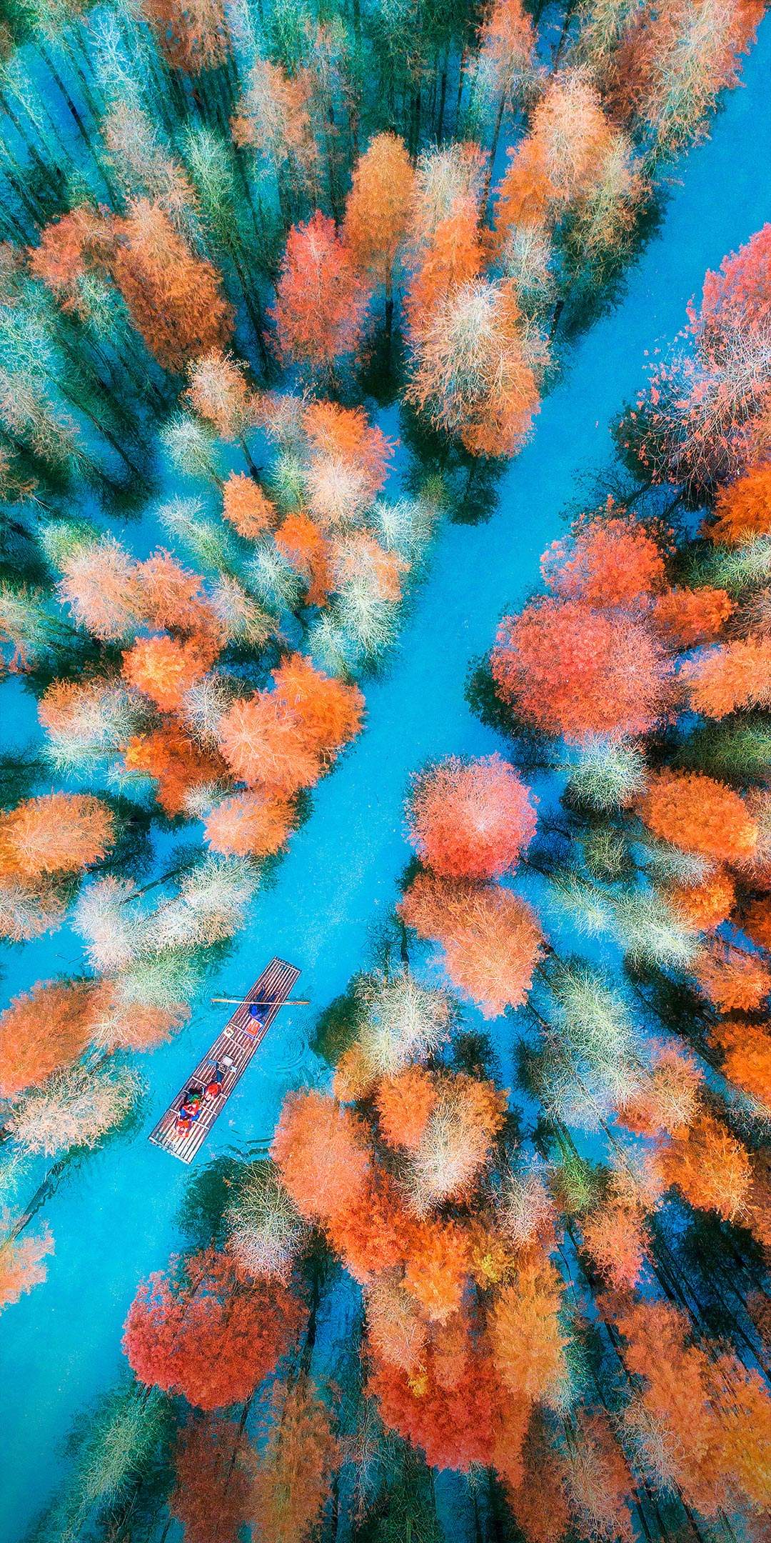 ZTE Axon 11 High Resolution Official Wallpapers