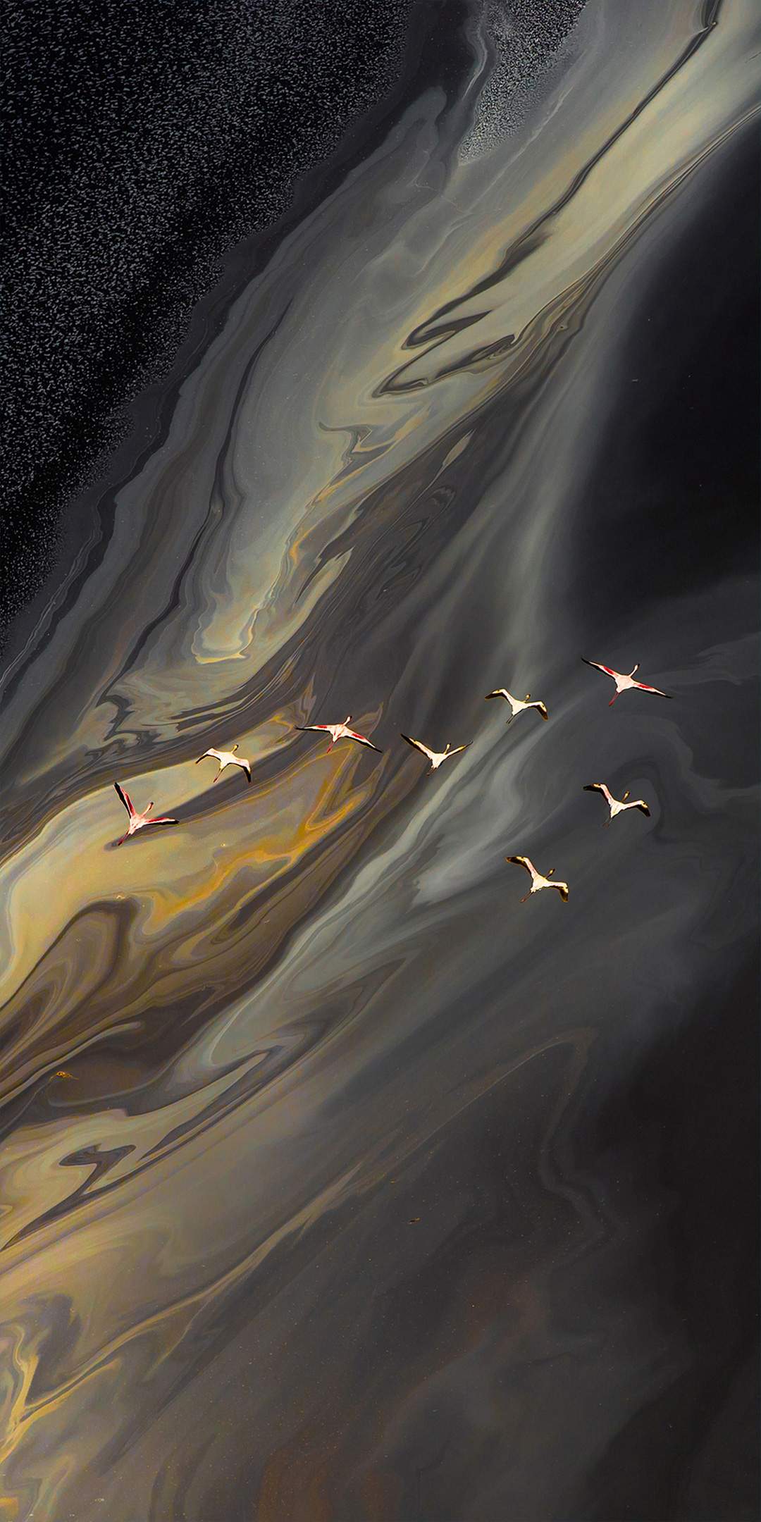 ZTE Axon 11 High Resolution Official Wallpapers