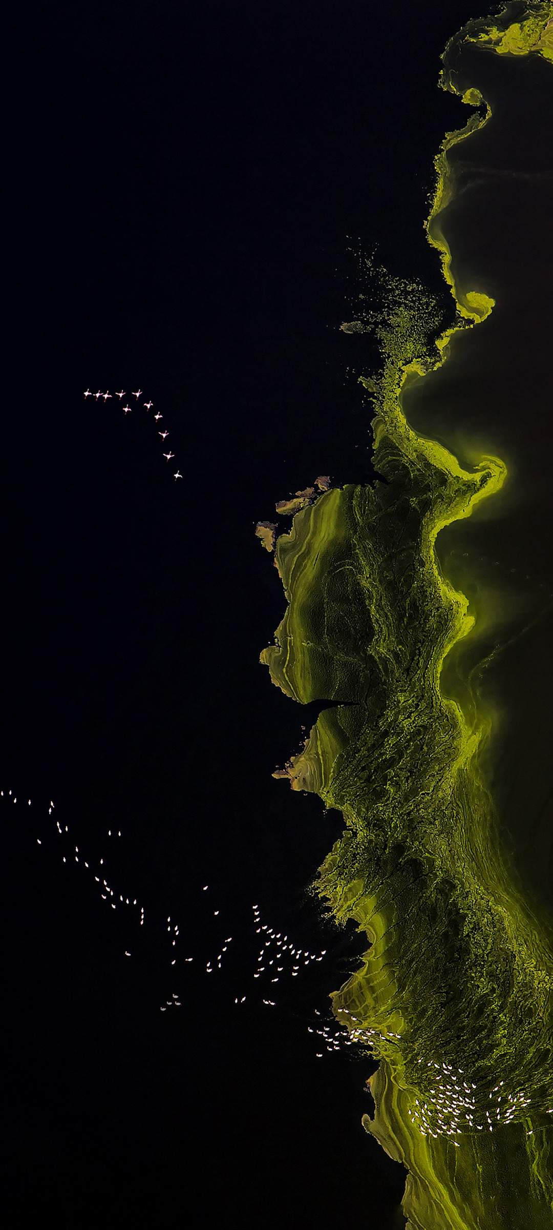 ZTE Axon 30 Ultra High Resolution Official Wallpapers