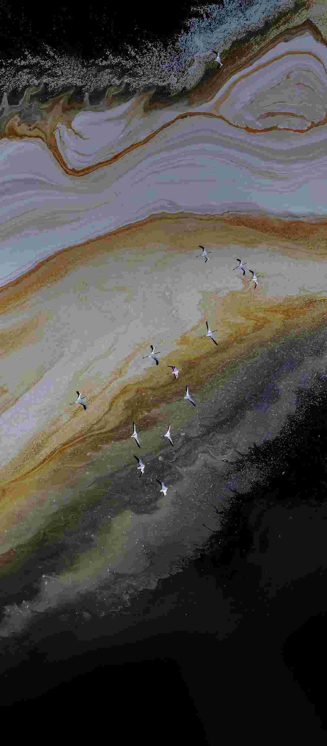 ZTE Axon 30 High Resolution Official Wallpapers