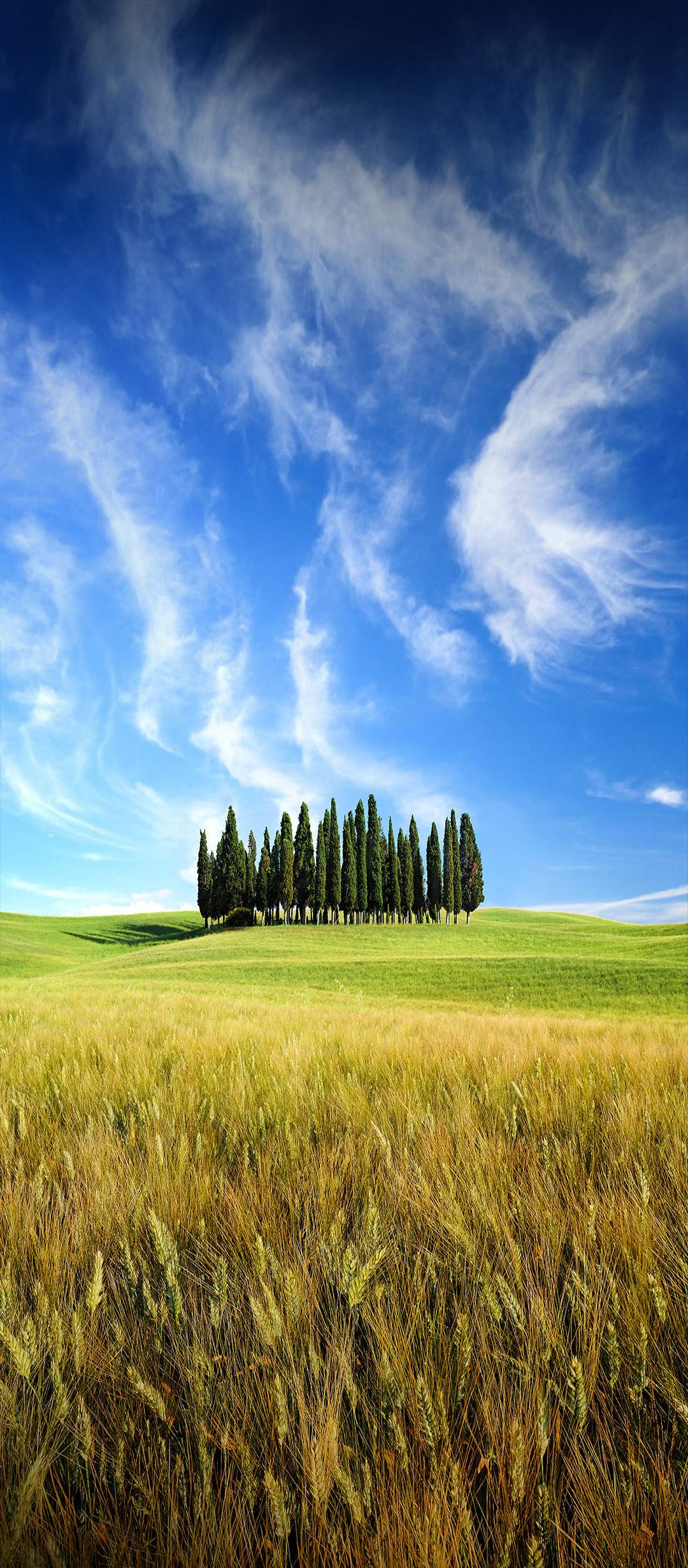 ZTE Blade 20 Official stock Wallpapers in 4k resolution