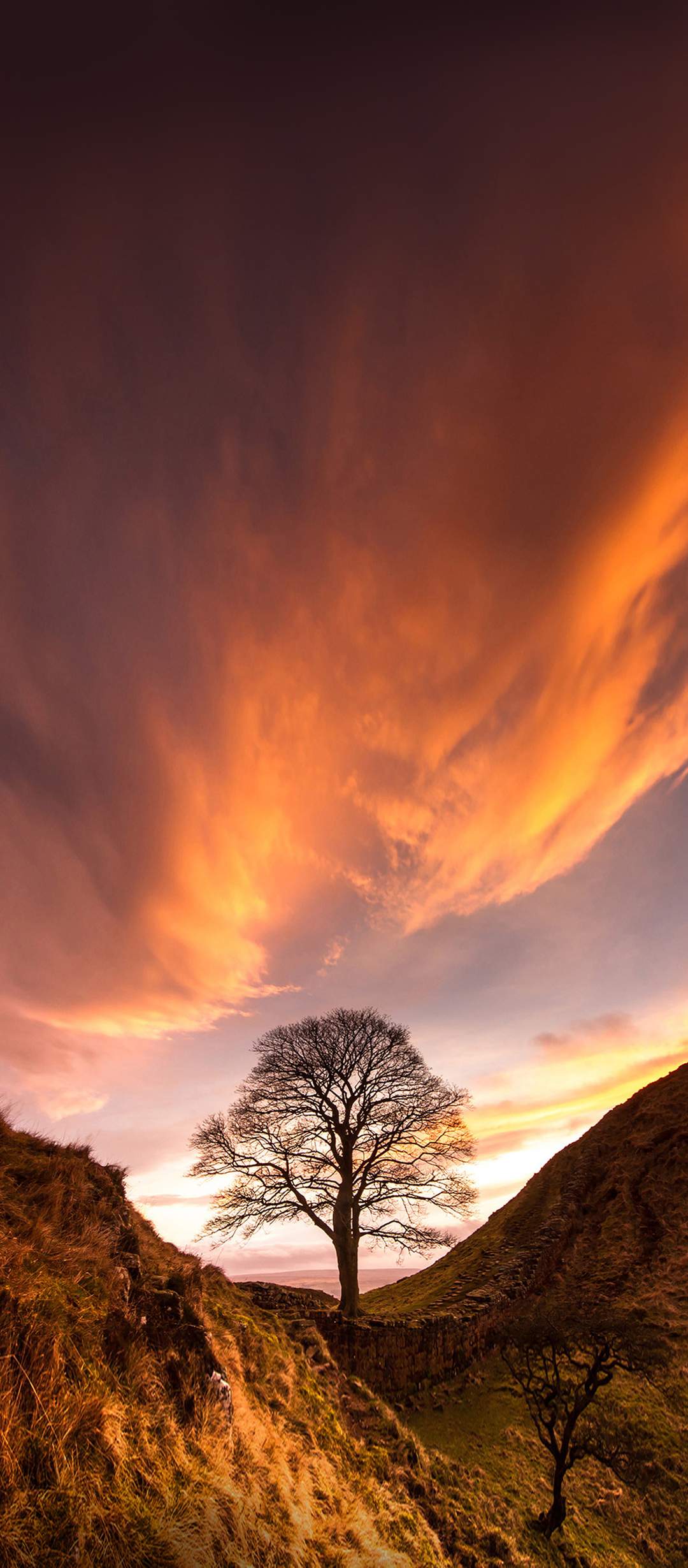 ZTE Blade 20 Official stock Wallpapers in 4k resolution